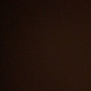 Meet your Posher, Anika